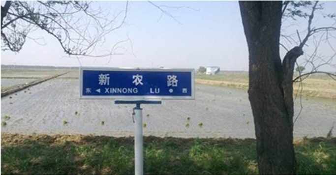 兴农路市政工程