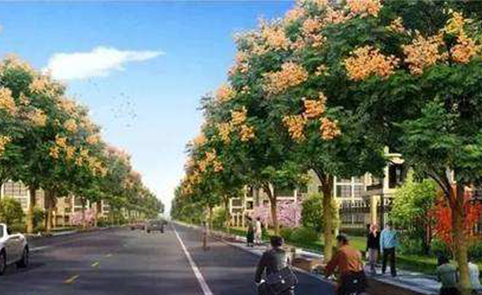 龙心路（江涵路—珊瑚沙路）道路工程